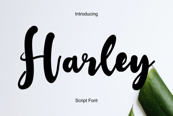 Harley: Where Classic Elegance Meets Modern Design