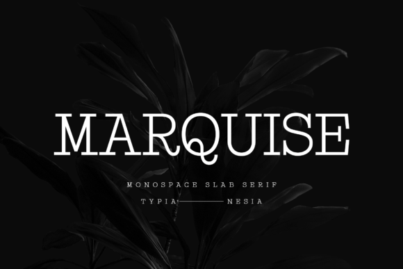 Why Marquise Slab Serif Belongs in Your Design Toolkit